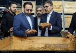 سفر استاندار به شهرستان بناب 