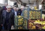 بازدید استاندار  از واحدهای تولیدی شهرک صنعتی شهید سلیمانی