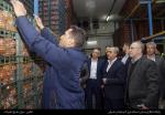 بازدید استاندار آذربایجان شرقی از انبارهای میوه شب عید