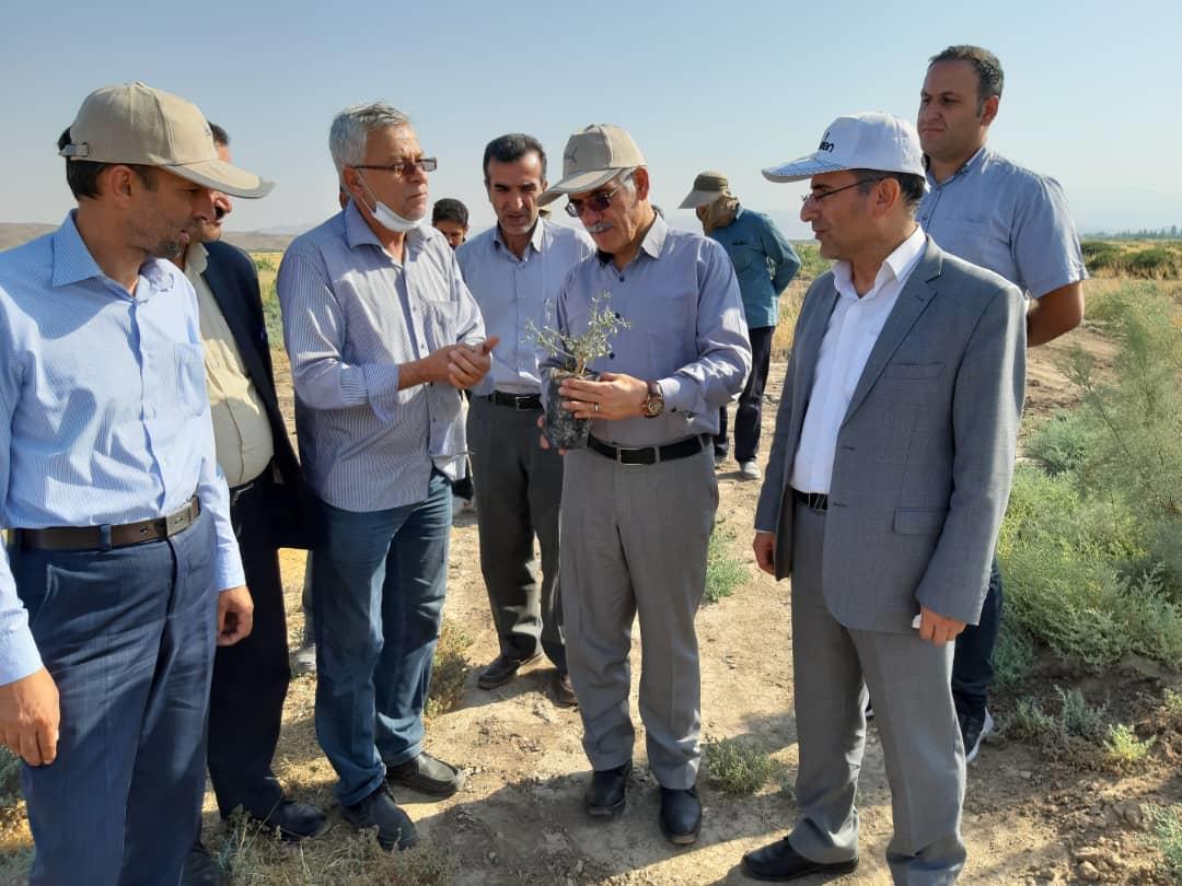 شهرک شیلات با سرمایه‌گذاری بخش خصوصی در مراغه ایجاد می‌شود