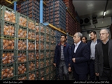 میوه شب عید به میزان کافی ذخیره شده است